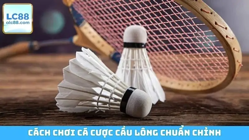 Cách chơi cá cược cầu lông chuẩn chỉnh