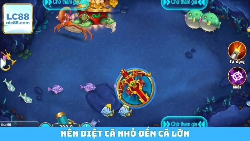 Nên diệt cá nhỏ đến cá lớn